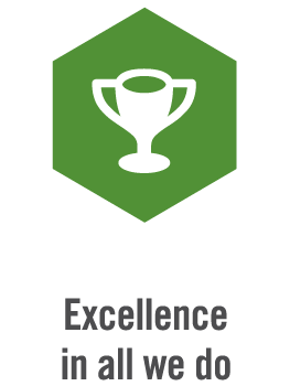Excellence in All We Do