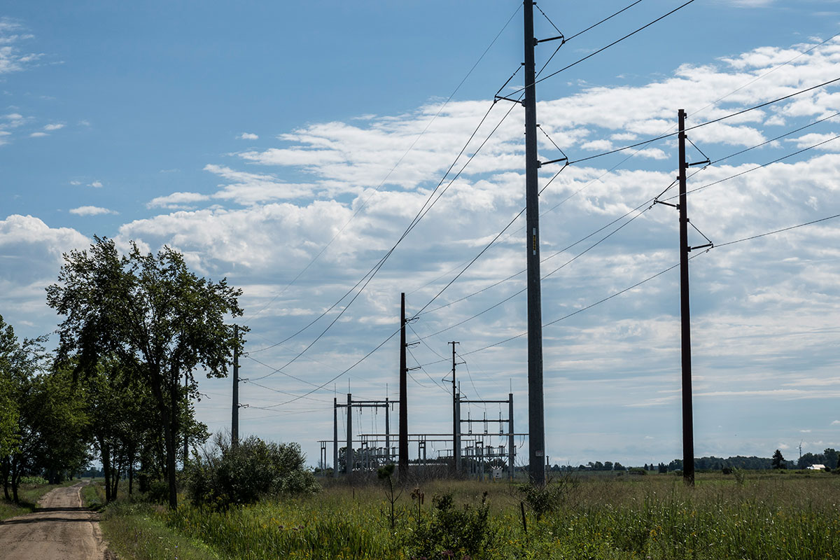 dsc03779-1.jpg Image