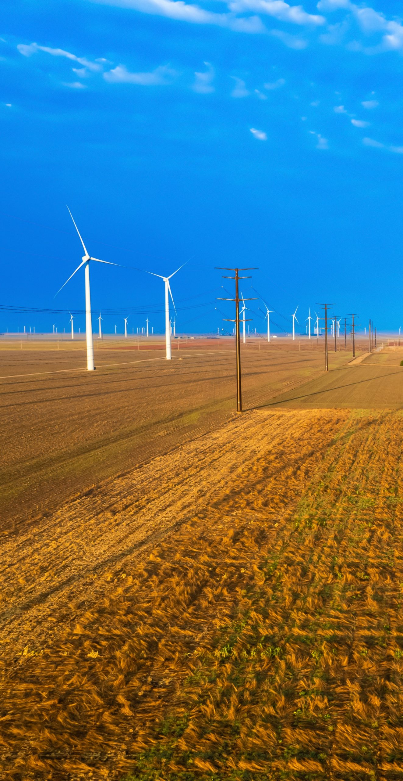 Brown farm field with rows of transmission and wind energy lines