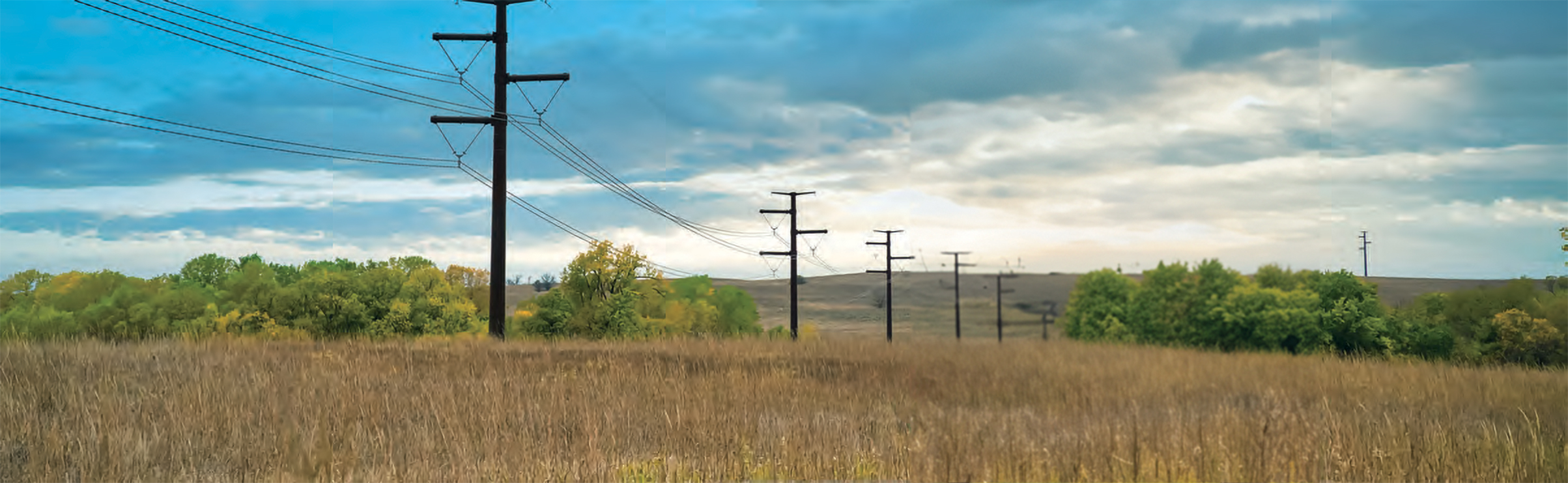 Power lines surrounded by field and green trees.