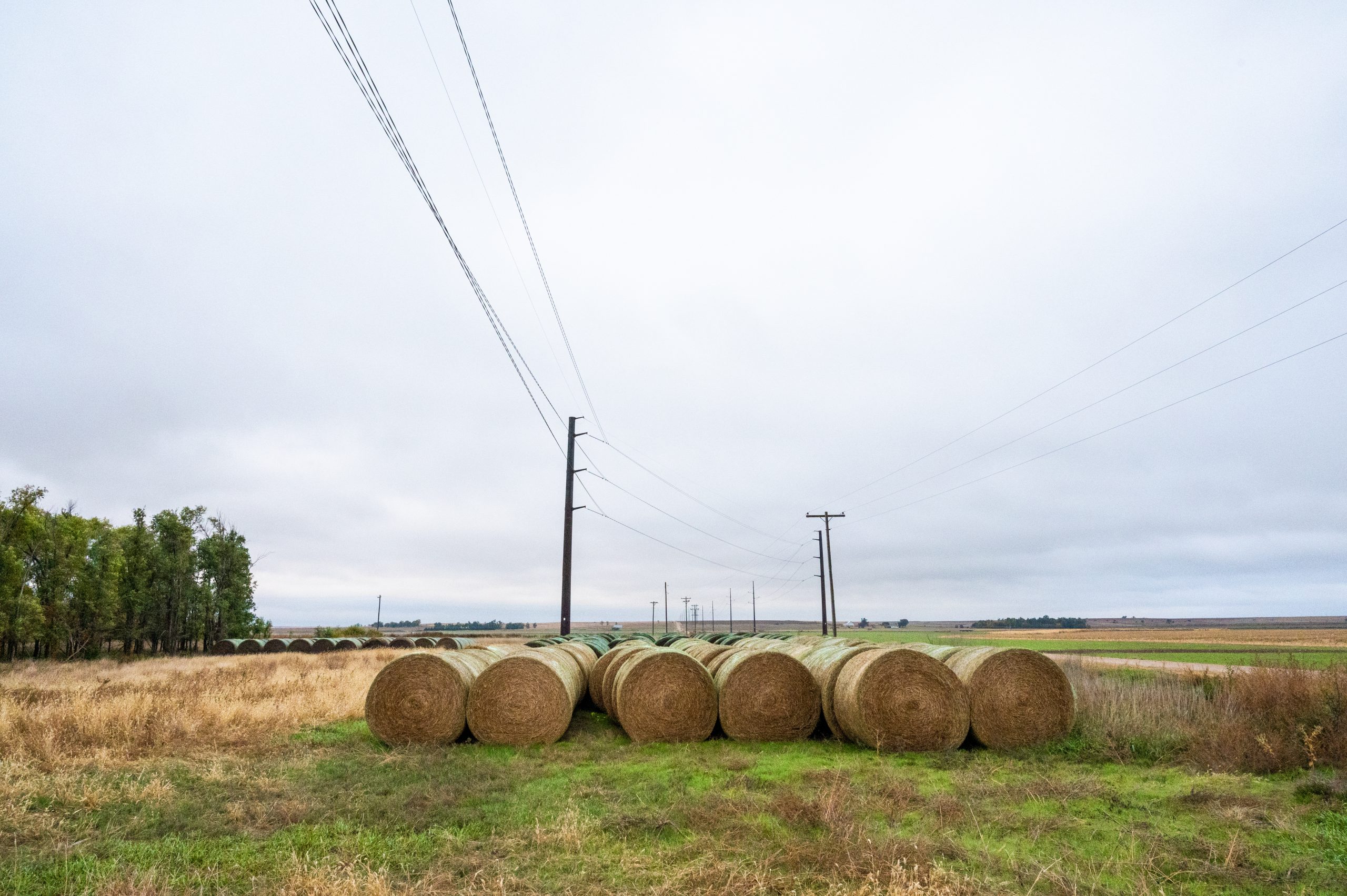 Bails of hay in front of power lines and gray sky