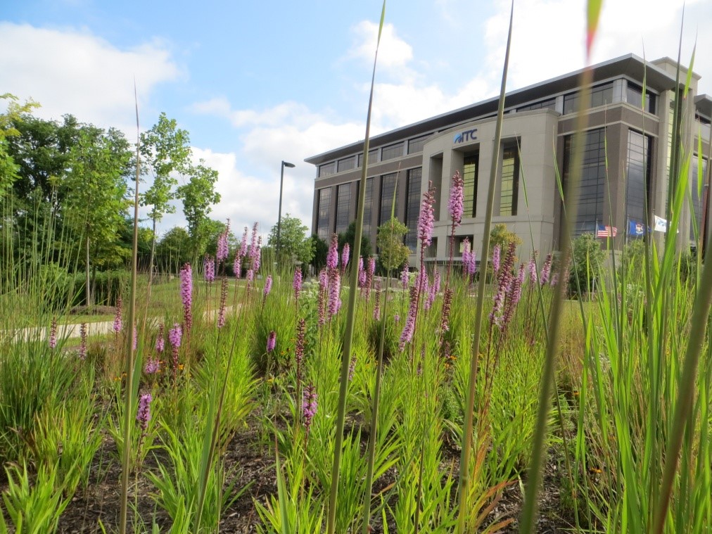 Environmental Stewardship