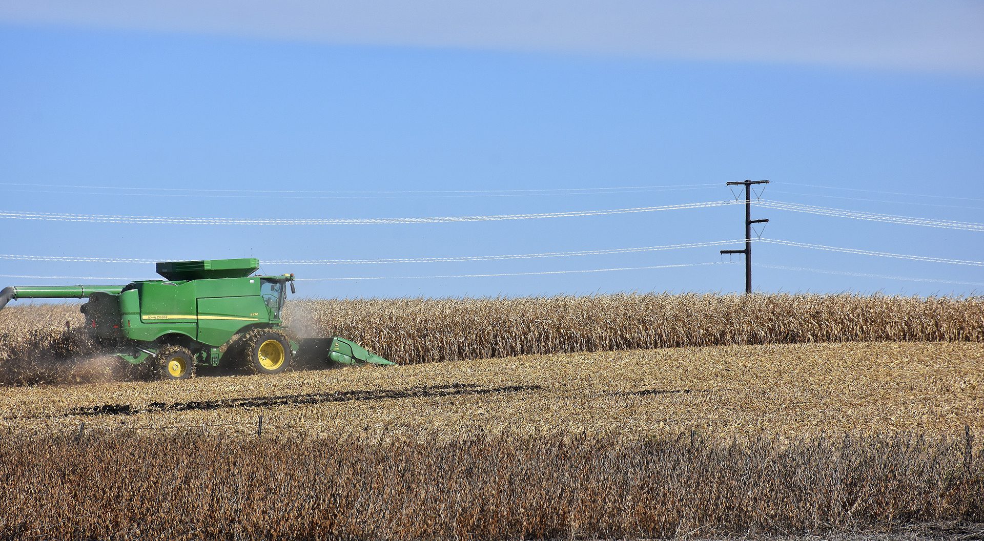 Farm machinery in corn field with power lines in the distance