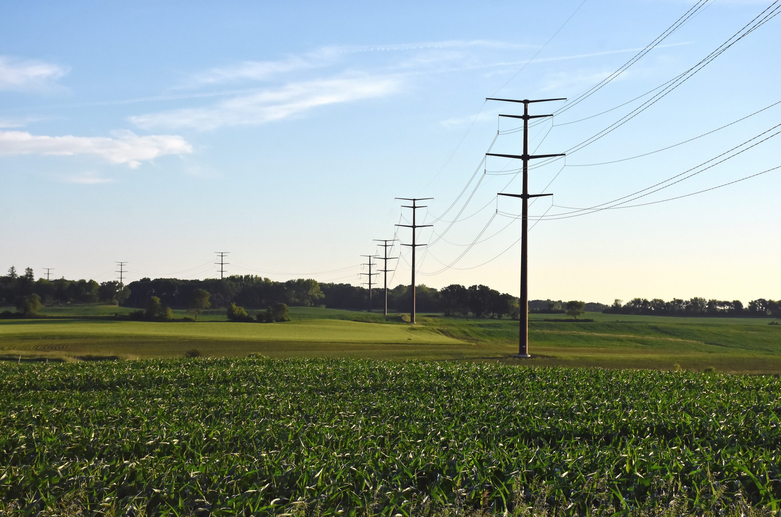 A green field along a transmission corridor.