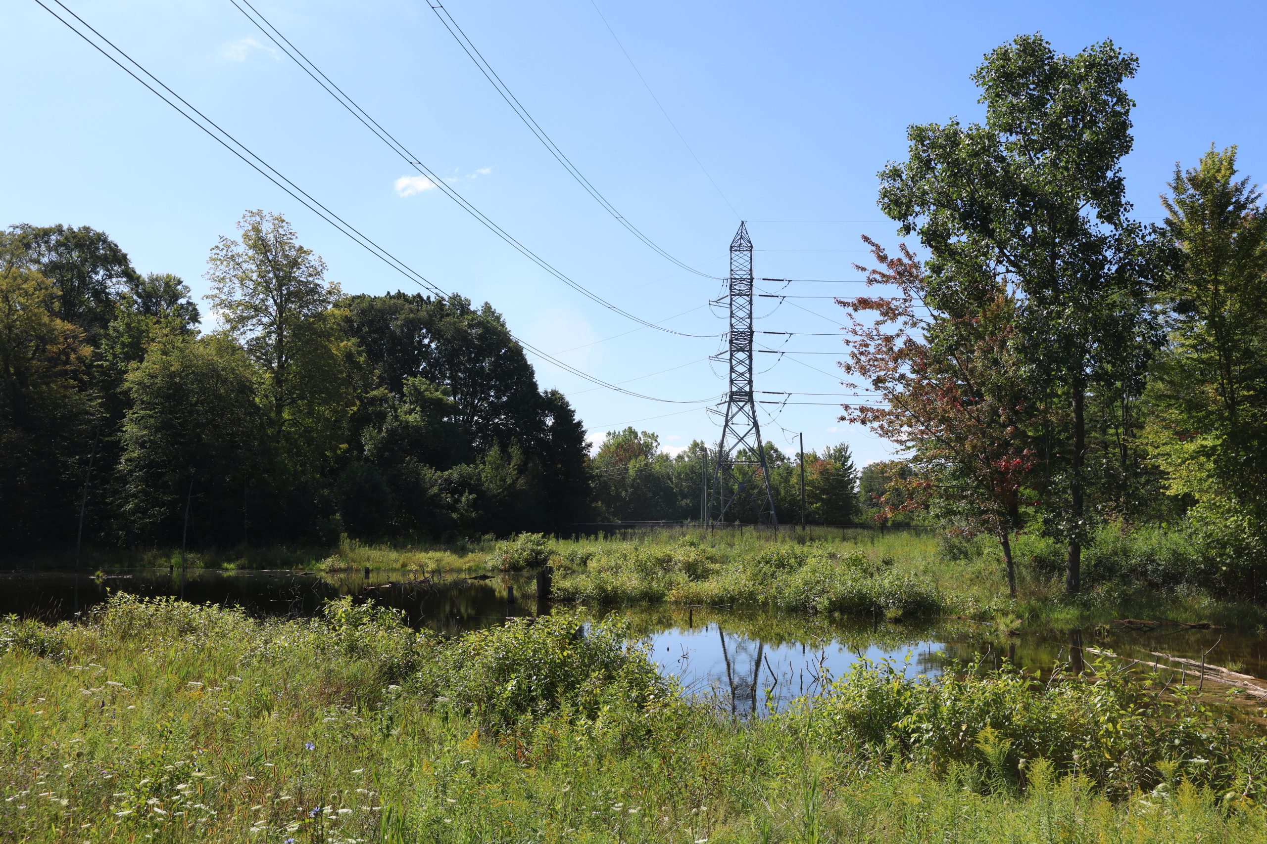 Transmission line above green landscape at ITC's Novi HQ. Image