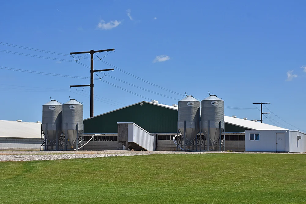 Greenfield farm in front of transmission lines.
