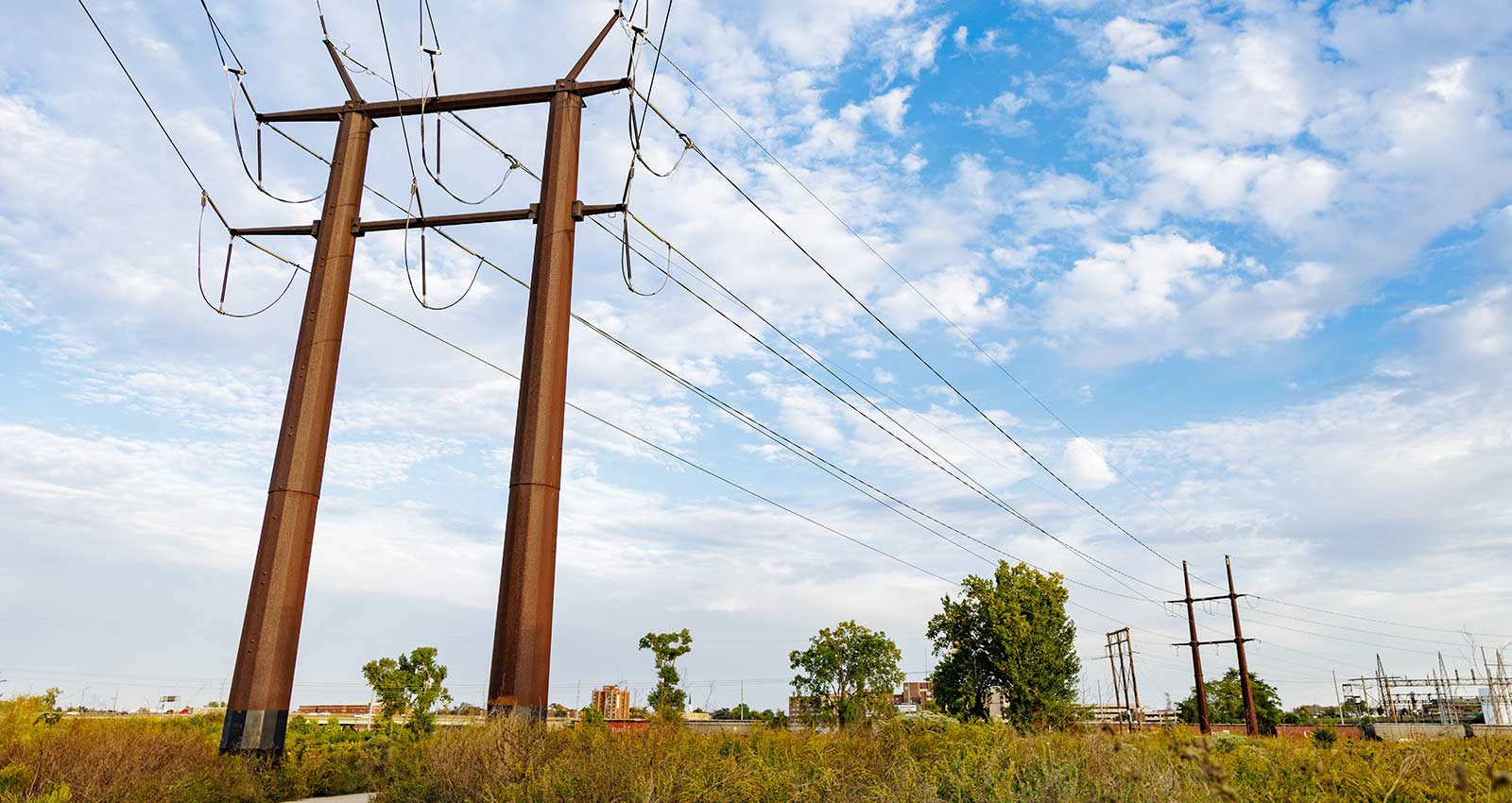 Wide shot of powerlines over brush